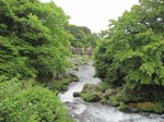 芝川つり橋