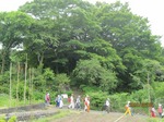 曽我の隠れ岩前