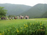 田貫湖畔アヤメ
